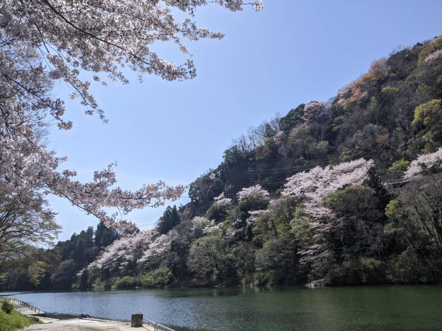 فيلا 加美屋リゾート伊勢神宮 おかげの庭 إيسي المظهر الخارجي الصورة